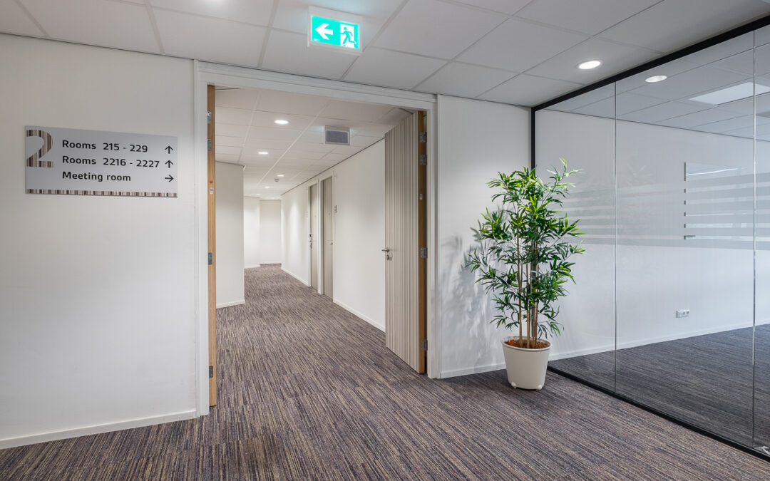 Wanneer is het perfecte moment voor een soft renovatie?